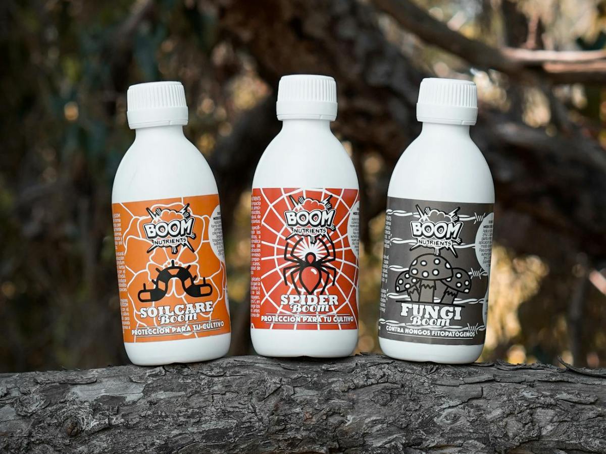 Próximo RD Biocidas.